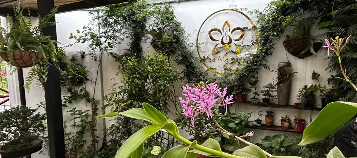Café La Maigüa, cafetería dentro del Jardín Botánico de Quito