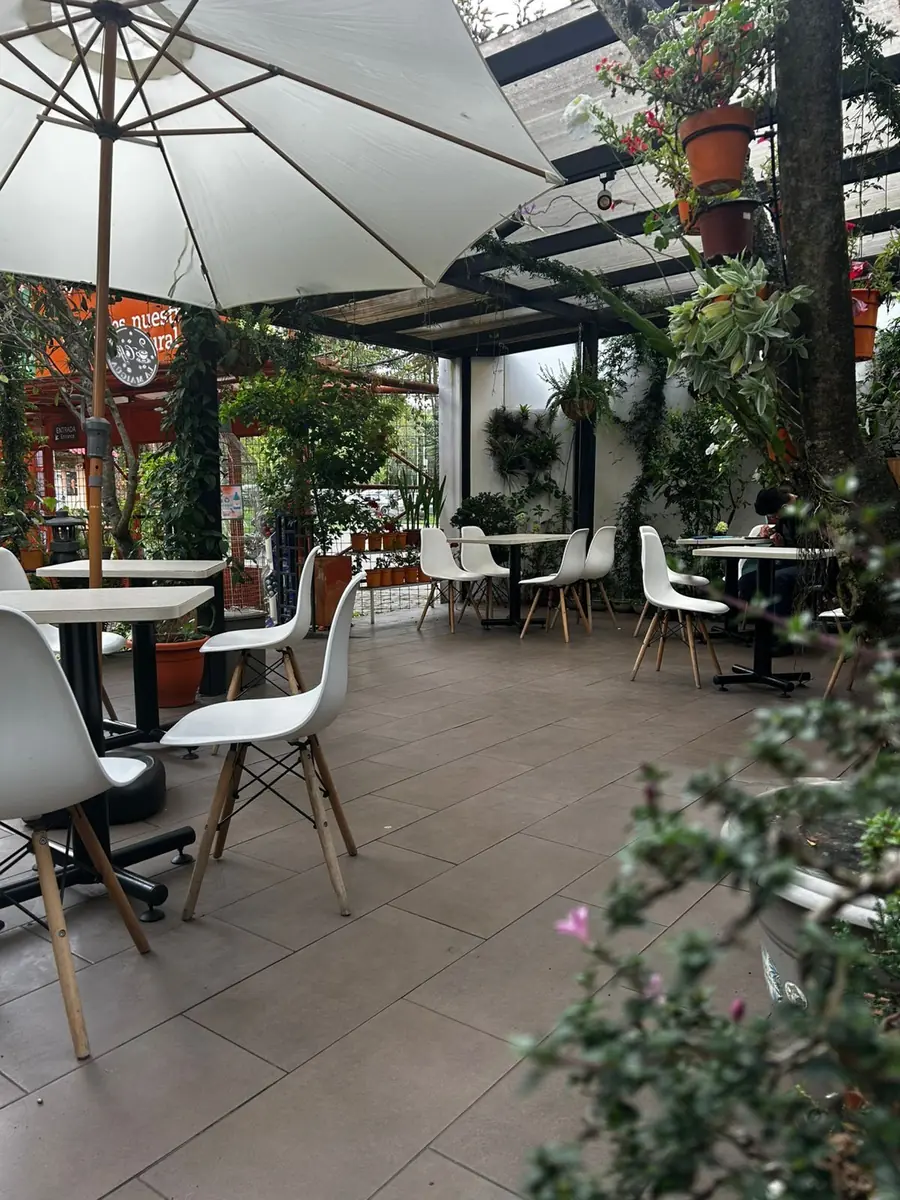Interior del café entre plantas